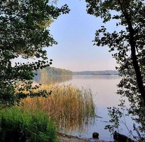 Отель Destination Snogeholm Sjobo Экстерьер фото